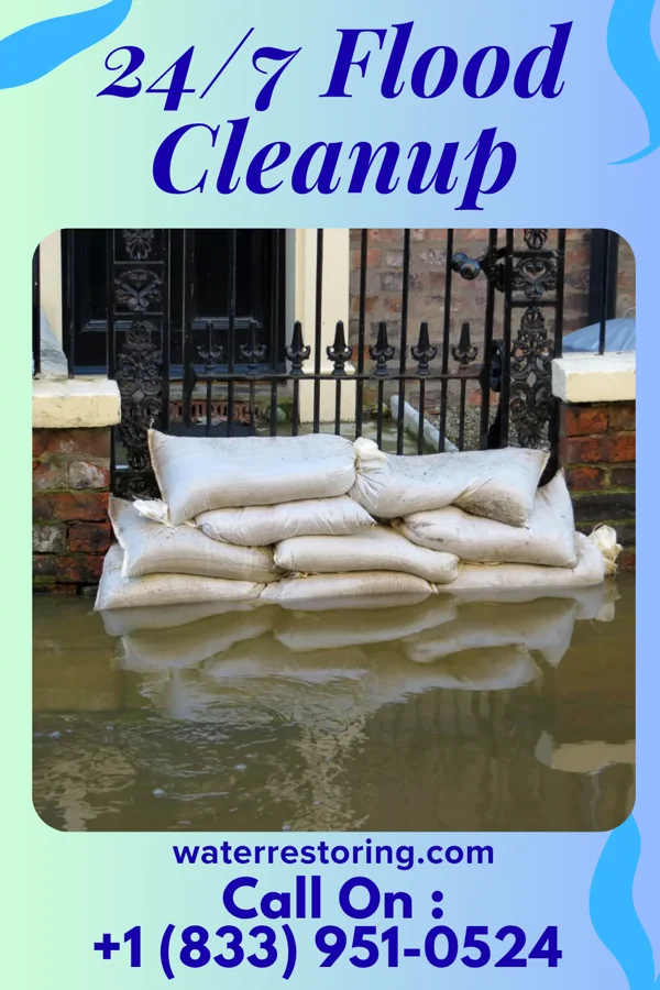 24/7 Flood Cleanup in Branchville, SC