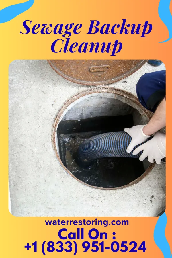 Sewage Backup Cleanup in Branchville, SC